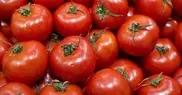 Аргентина объявила о дефиците помидоров