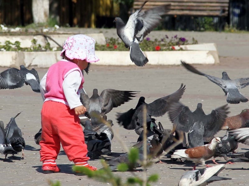 Фото Марат Абилов©