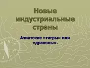 Казахстан не сможет в одиночку стать "Азиатским тигром"