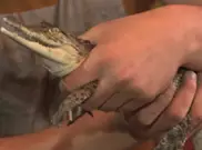 Молодая семья держит рептилий в доме в Усть-Каменогорске