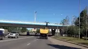 Олень чуть не снес эстакаду в Астане