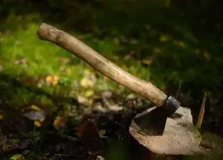 Парень зарубил топором своих родителей в Шымкенте