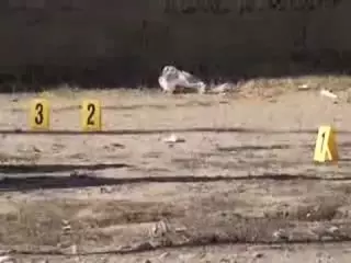 Девушке оторвало ноги взрывом в Шымкенте