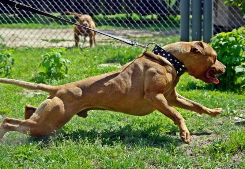 Фото из архива Tengrinews.kz