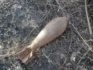 На выкуп оружия пенсионерка в Алматинской области принесла три мины