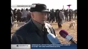 Доскалиев посетил слет разводчиков казахских борзых в Павлодарской области