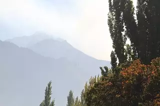 Площадь пожара в Иле-Алатауском парке составила 7 гектаров