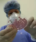 Минздрав запретил применять препараты одного из казахстанских производителей