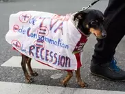 Многотысячная акция против налоговой политики состоялась в Париже