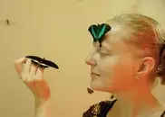 Выставка экзотических бабочек открылась в Шымкенте