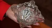 Антитабачная коалиция Казахстана вручила чиновникам "грязную пепельницу"