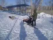 Гонки на ездовых собаках прошли в Павлодаре