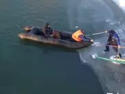 Спасатели сняли со льда бездомного пса в Семее