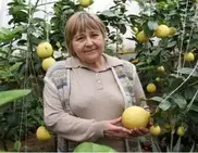 В Усть-Каменогорске под землей выращивают кофе и мандарины