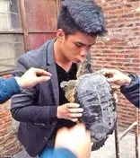 Китаец попал в больницу после поцелуя с черепахой