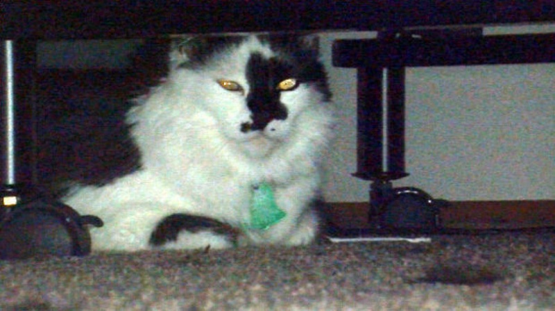 Фото с сайта oregonlive.com