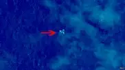 Пропавший самолет Malaysia Airlines: Китай опубликовал фото обломков в море