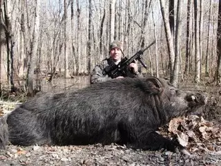 В США охотнику удалось убить гигантского кабана