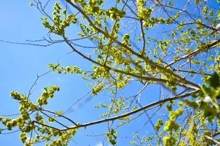 Какой будет погода летом в Казахстане