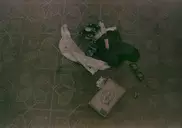 Полиция Сиэтла обнародовала неизвестные фото с места самоубийства Курта Кобейна