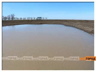 Двое братьев утонули в овраге с талой водой в ЗКО