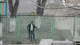 Тщетность бытия