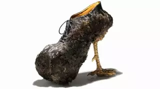 Петушиные туфли - новый тренд