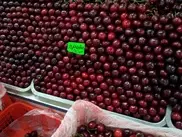 Деньги за пробу ягод требуют столичные продавцы на рынке