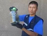 Хорек напугал хозяев частного дома в Шымкенте