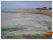 Озеро Шалкар в ЗКО загрязнили насекомые