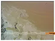 Озеро Шалкар в Западном Казахстане загрязнили водоросли - экспертиза