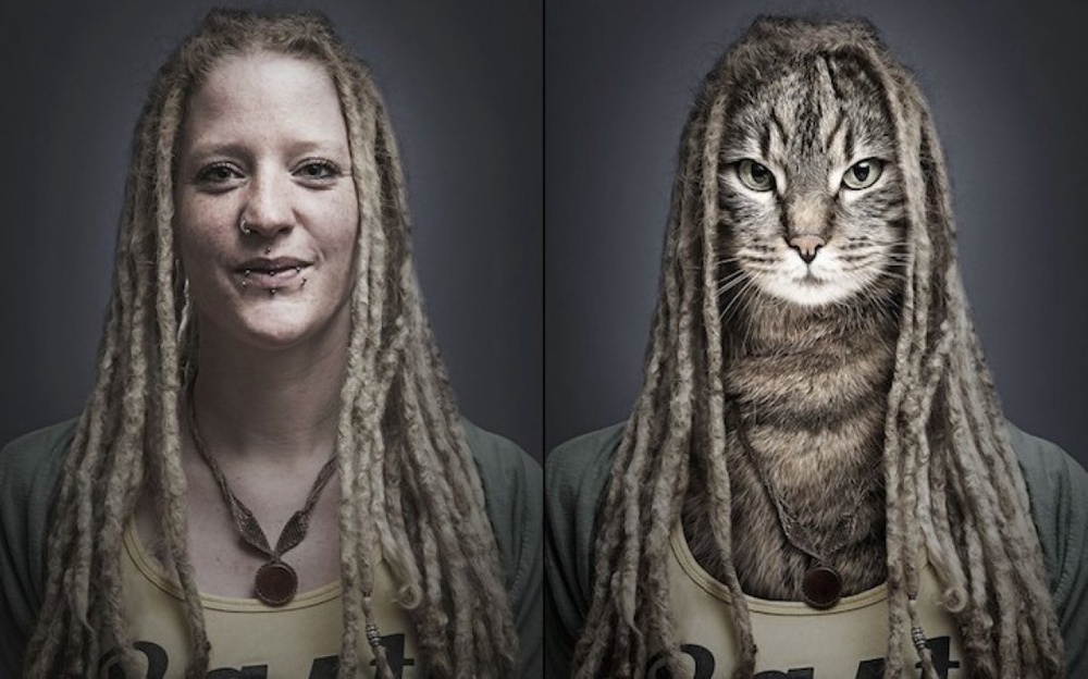 Кошки и хозяева: 2014-07-09 14:59:00 - прочитайте