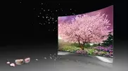 Телевизор с изогнутым экраном LG Curved OLED отмечен мировыми наградами