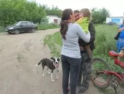 Собака-спаситель двухлетней девочки оказалась бродячей