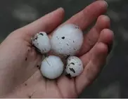 В Усть-Каменогорске прошел град размером с шарик для пинг-понга