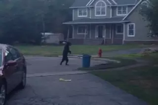 "Деловой" медведь гулял на двух лапах по Нью-Джерси