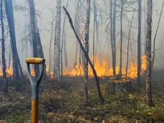 Два человека погибли при тушении степного пожара в Карагандинской области