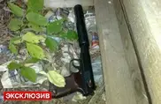 Убийство адвоката в Москве: Полицейские нашли пистолет киллера