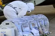Эбола добралась до Европы