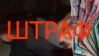 Активистов "Оккупай педофиляй" в Петропавловске ждет штраф за самосуд