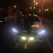 Инкрустированный миллионом кристаллов Swarovski Mercedes продадут для помощи животным