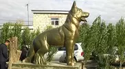 Памятник собаке за службу в Афганистане поставили в Актобе