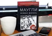 Новую версию Маугли рассказали казахстанские авторы