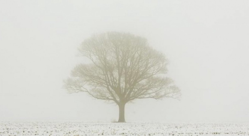 Фото REUTERS