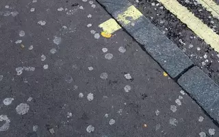 Производителей жевательной резинки хотят обязать убирать тротуары в Британии