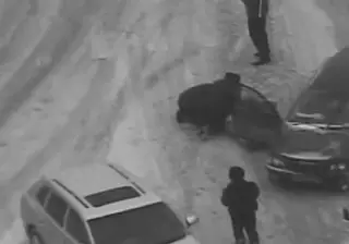 Полицейские Павлодара спасли жизнь пострадавшему в ДТП водителю