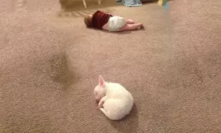 Счастливы вместе