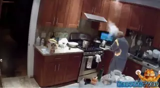 Домашние курьезы