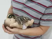 Создана чувствительная искусственная кожа