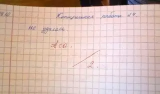 Перлы из контрольных работ школьников